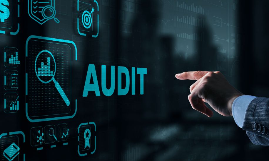 How to Standardize Delegate’s Data Submissions for CMS Audits 